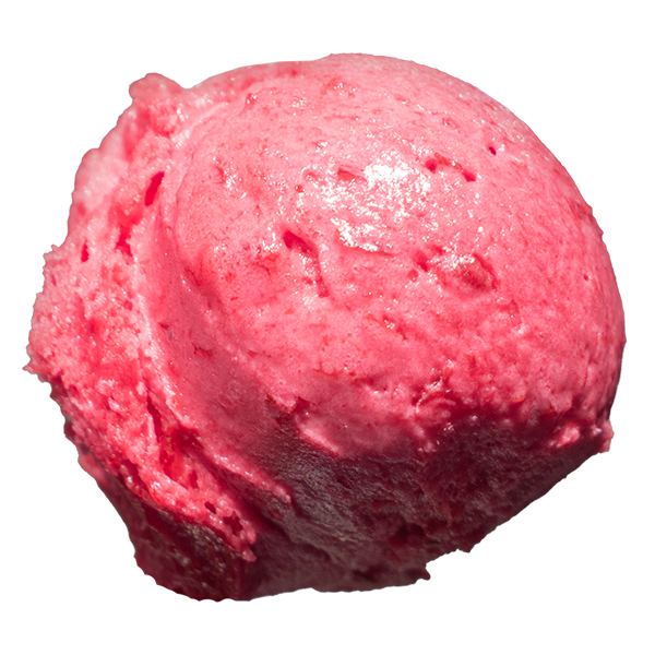 Erdbeere